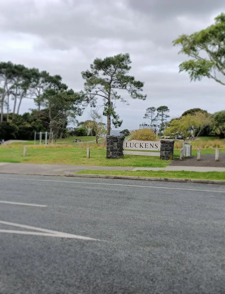 View of Luckens Rd park